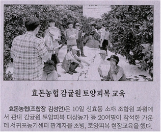 효돈농협 감귤원 토양피복 교육(제주매일,2017.7.12)